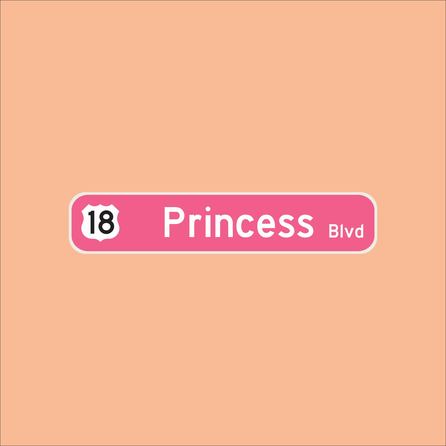 Směrová značka "Princess Blvd"